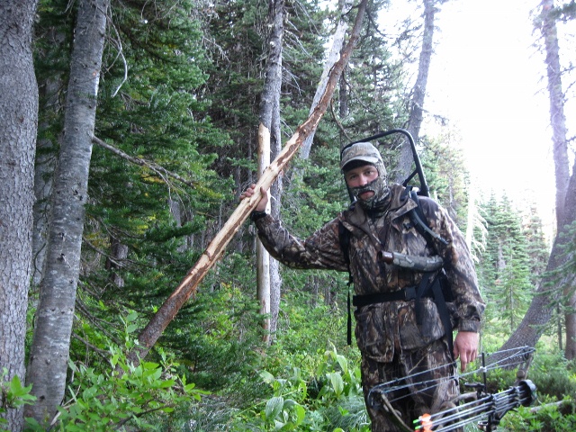 IMG_0003 (640x480).jpg