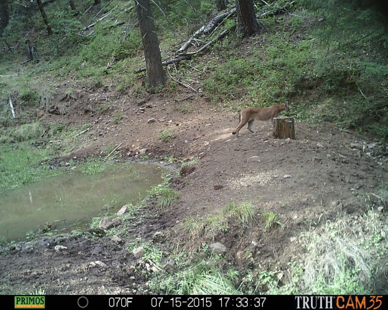 097.JPG