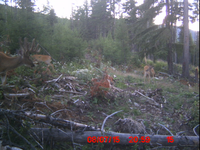 ICAM0106.JPG