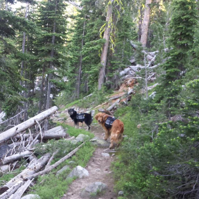 20150703_184943.jpg