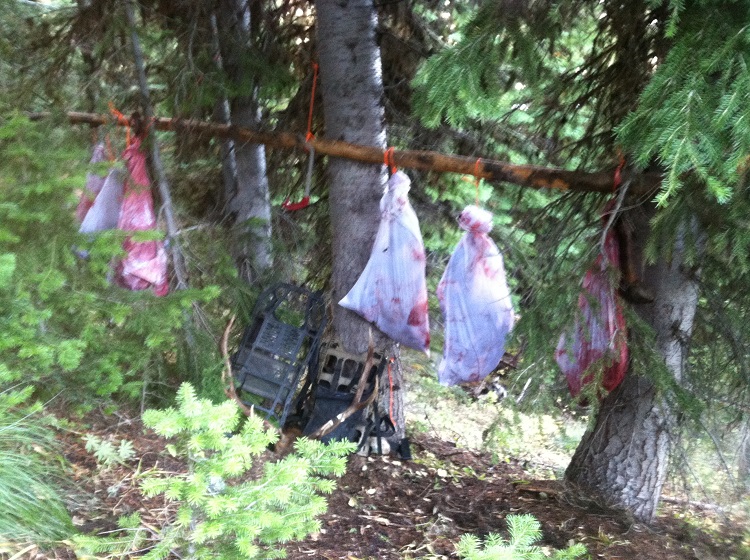 photo.JPG