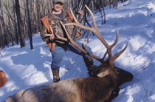 Pauls Bull2.jpg