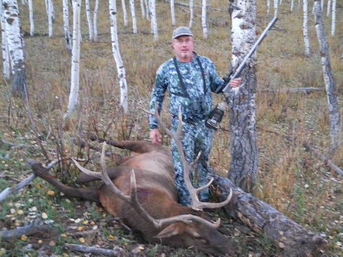 Elk.jpg