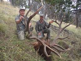 CrossbowBull.jpg