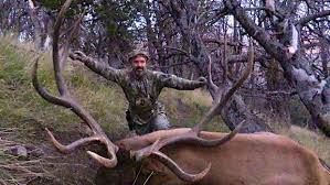 CrossbowBull2.jpg
