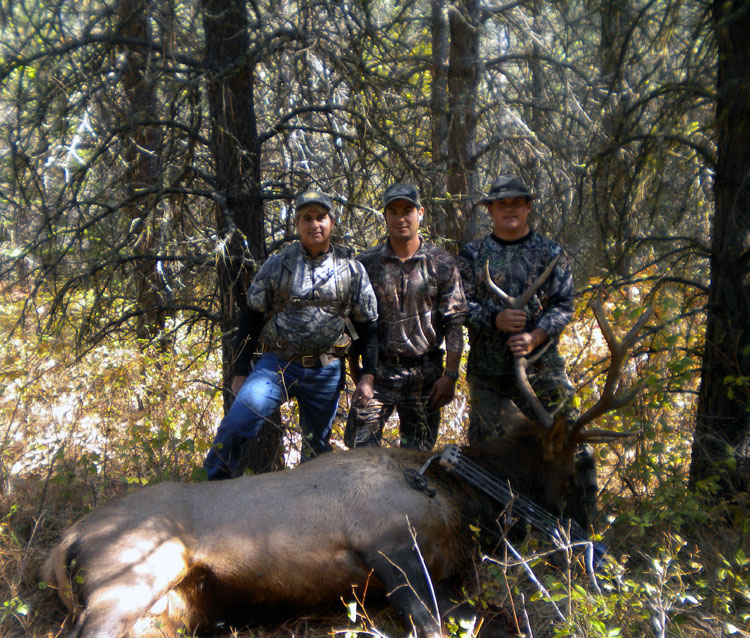 Jerry's 2012 Bull 6.jpg