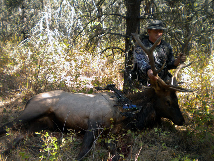 Jerry's 2012 Bull 3.jpg