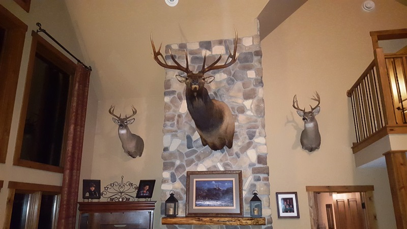 Elk Mount small.jpg
