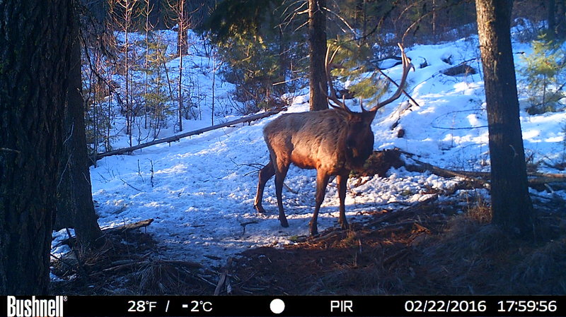 rsz_hunt0116-1.jpg