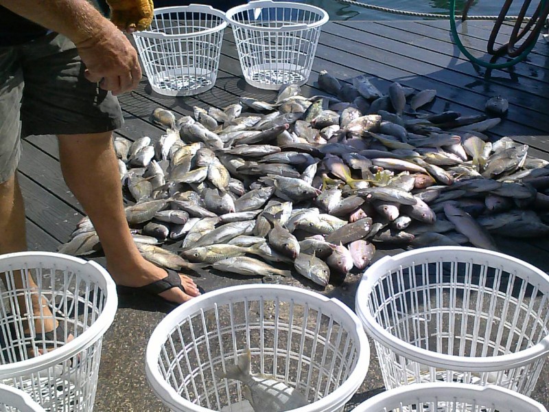GulfStreamCharters.jpg