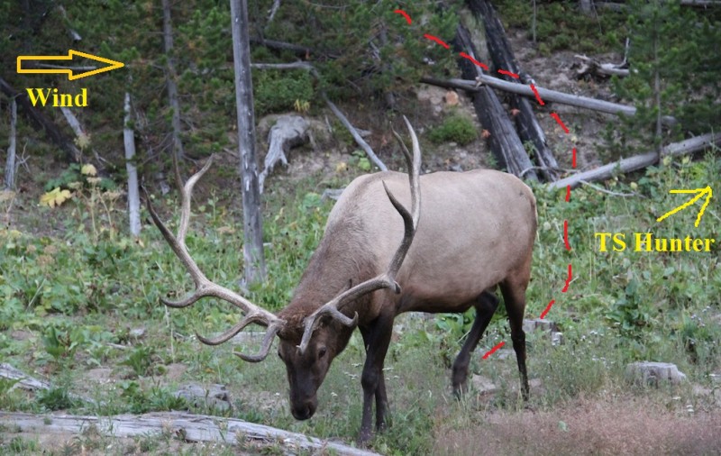 Elk - TS Scenario.jpg