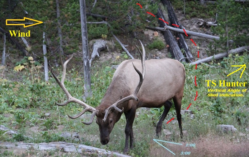 Elk - TS Scenario 7.jpg