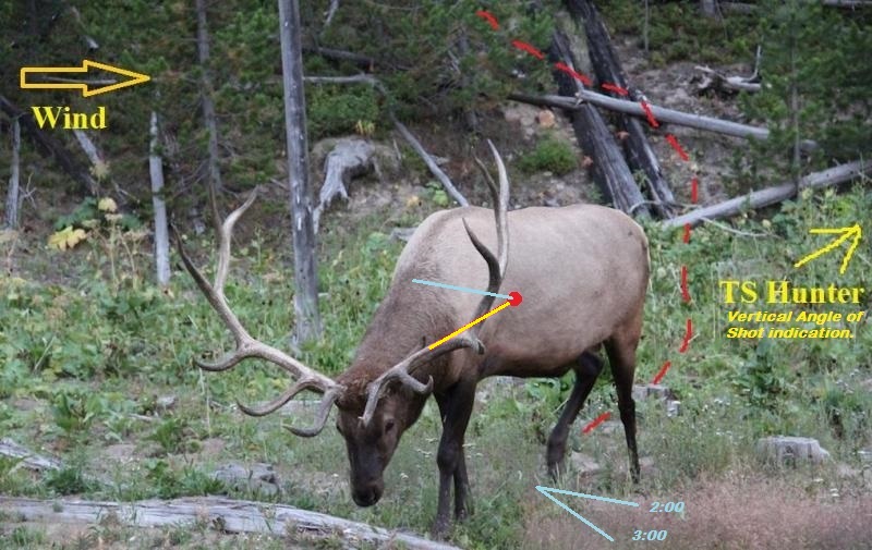 Elk - TS Scenario.jpg_thumb.jpg