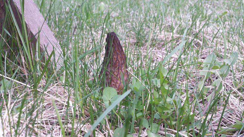 rsz_20160415_173147.jpg
