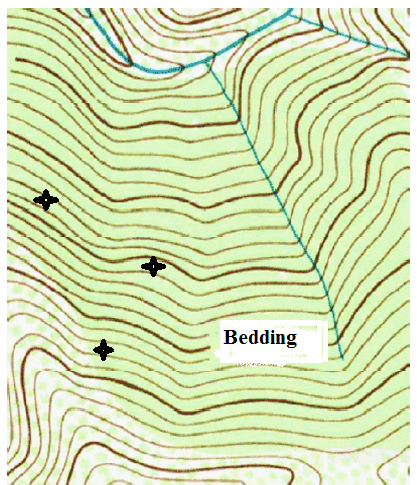 Bedding-Steep.png