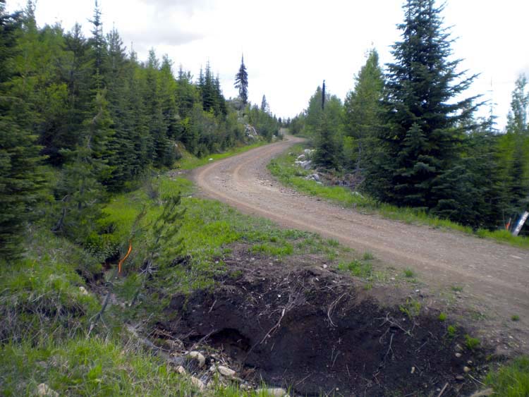DSCN1821.jpg
