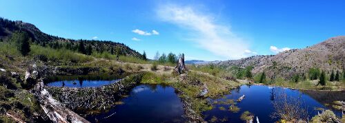 IMG_20160509_2236.jpg