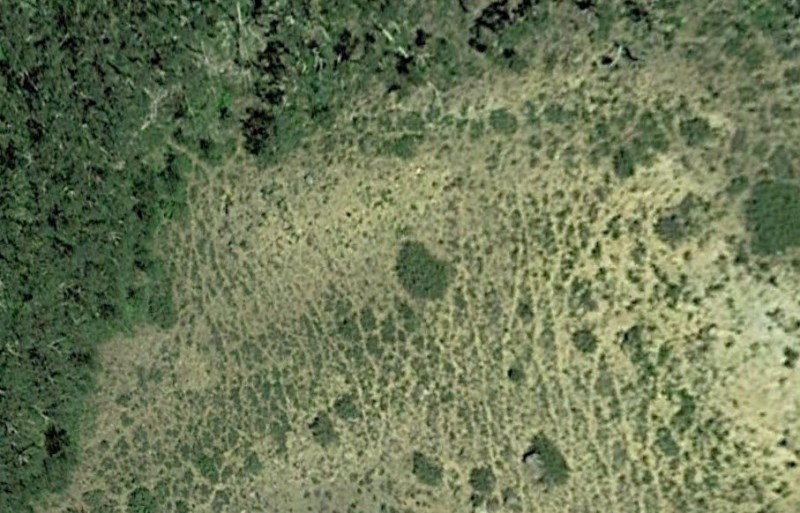 Cattle Trails 2.jpg