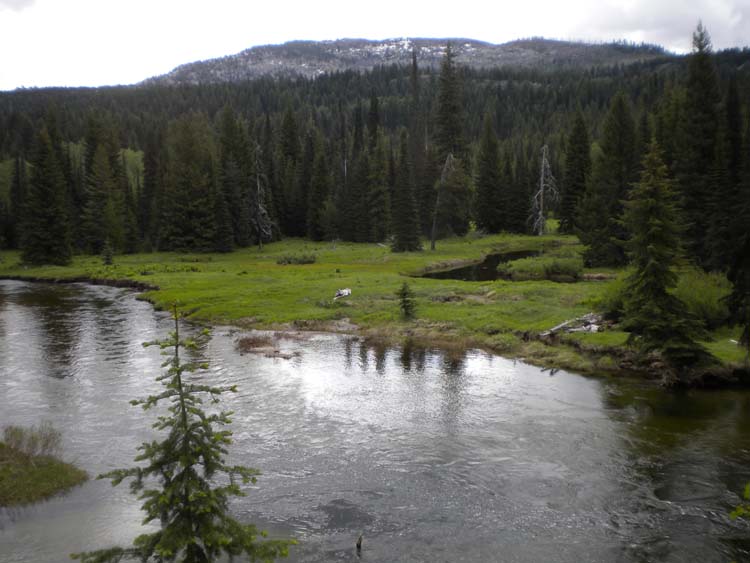 DSCN1747.jpg