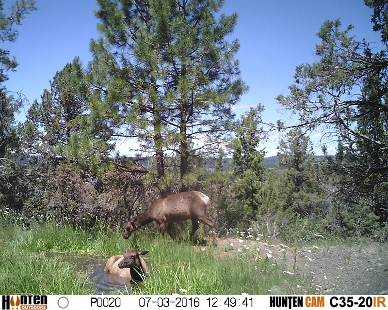 HUNT0020.JPG