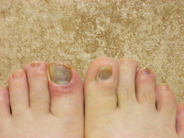 DSCN1249 (Small).JPG