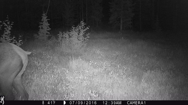 Cam1_20160709.jpg