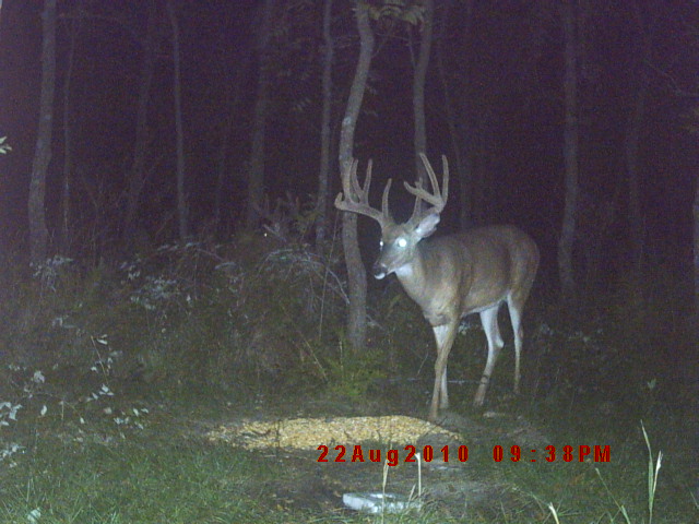 DGC_0078.JPG