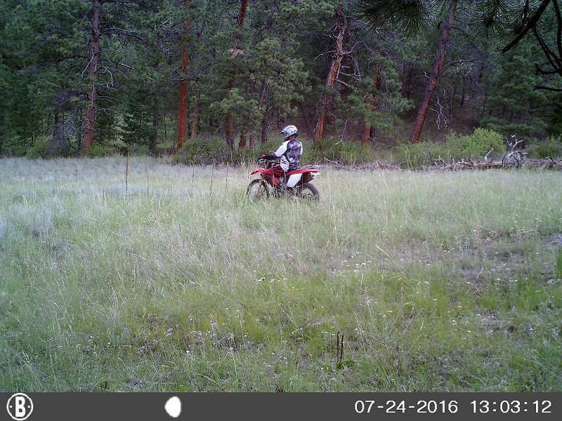 HUNT00160.jpg