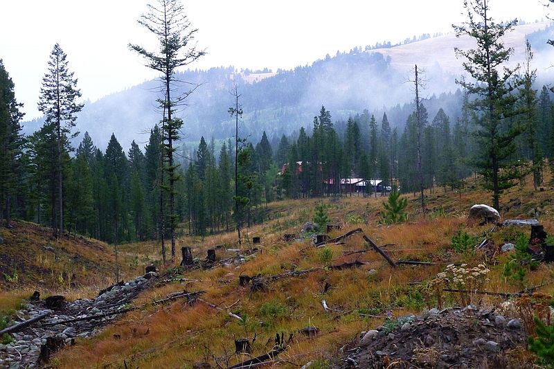 RAMMONT #1.jpg