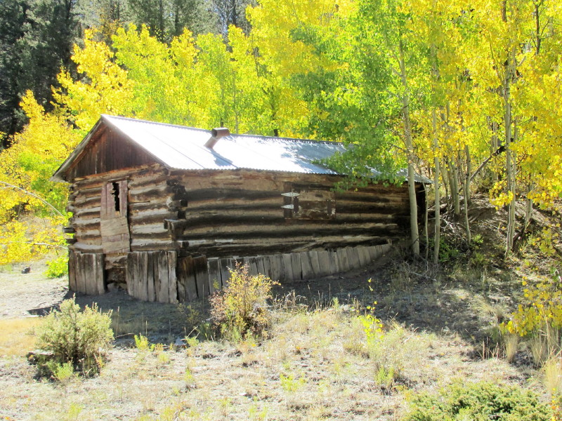 Elkduds #8.jpg