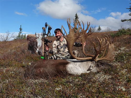 caribou web.jpg