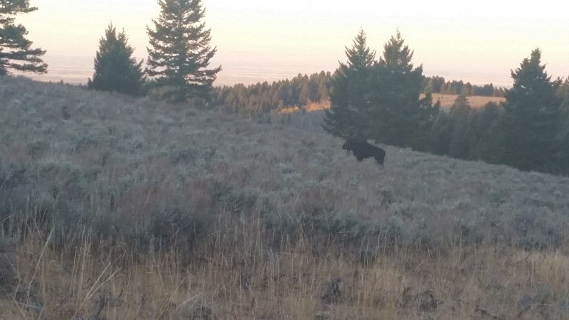 2016-10-08 07-45-50.jpg