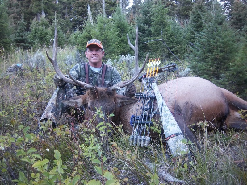 2016MontanaElk 020 (800x600).jpg