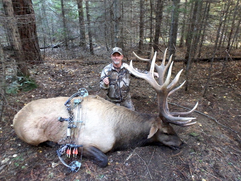 Glen-Bull4 small.JPG