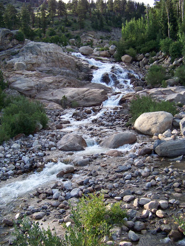 2013.jpg