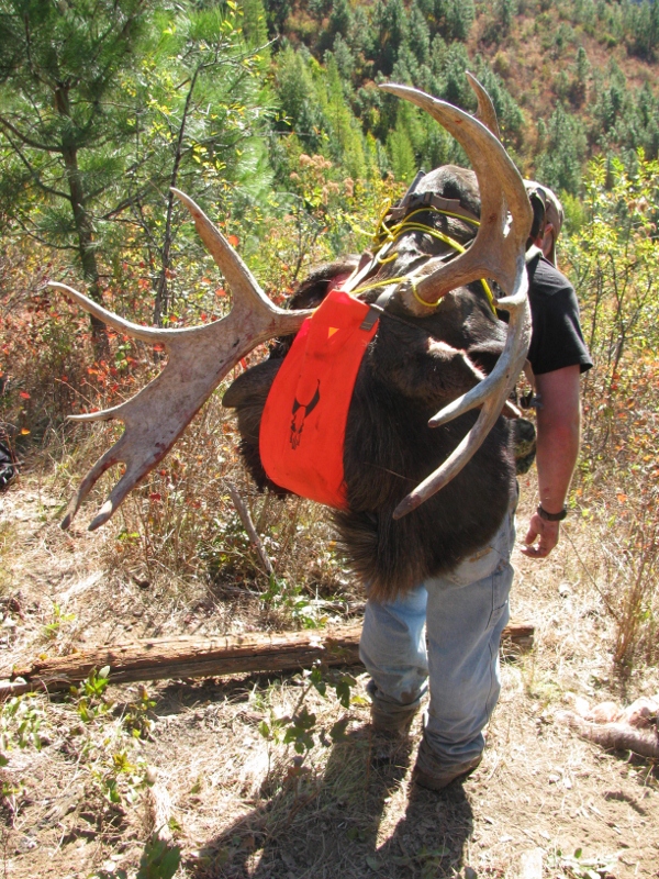 218 (600x800) (2).jpg