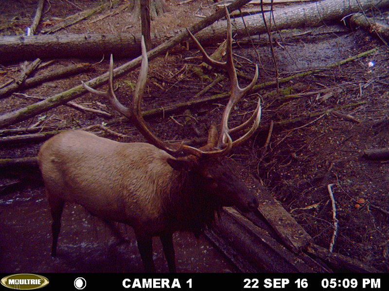 MDGC0137 small.jpg