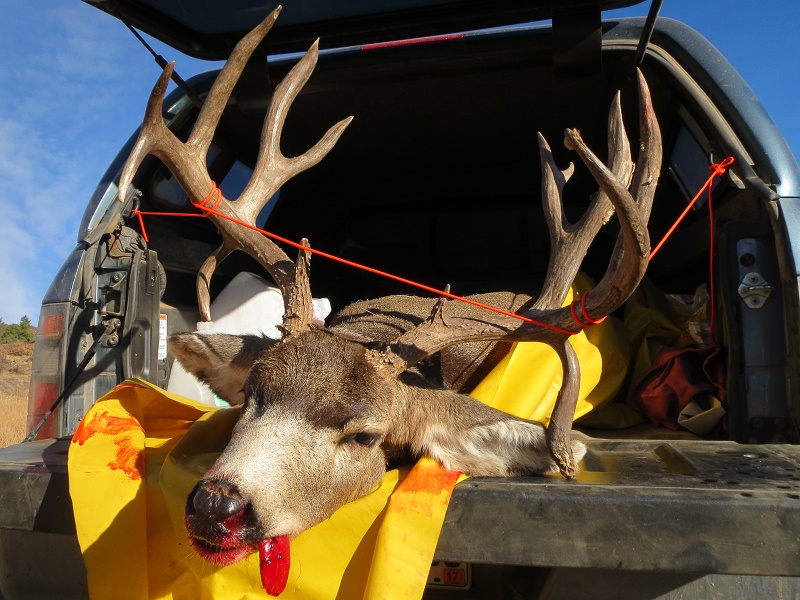 buckintruck.jpg