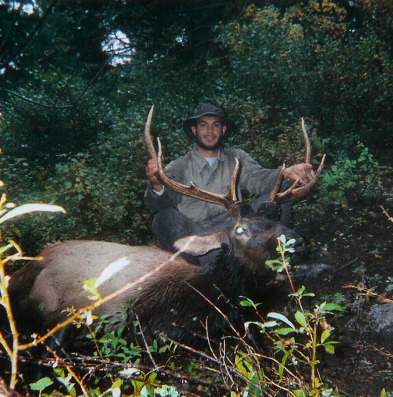 Paul II bull elk 2004.jpg