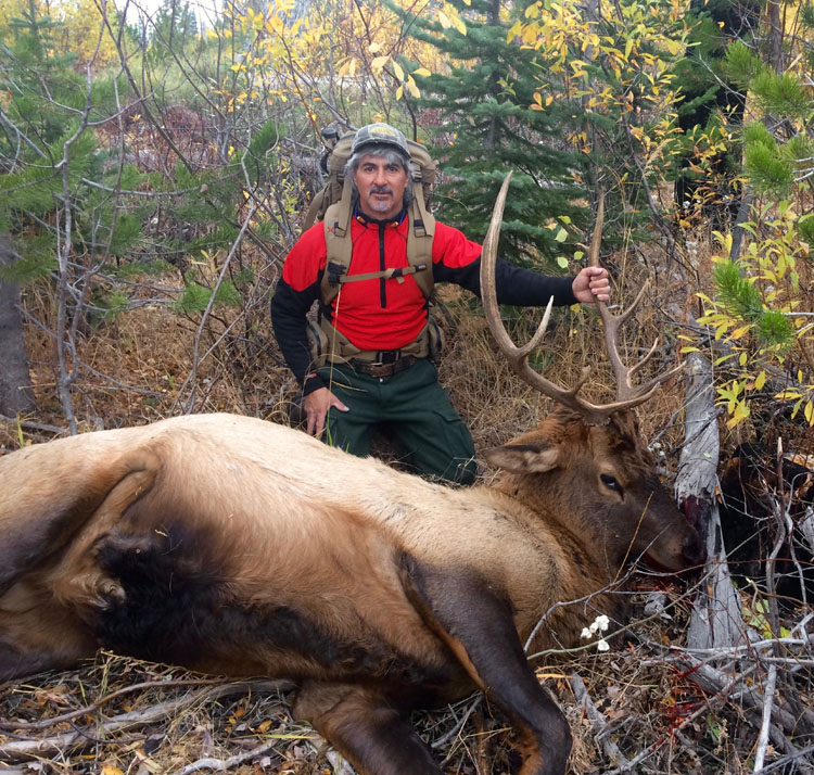 Paul 2016 Bull 3.jpg