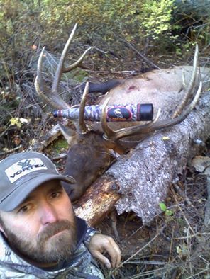 Clayton 2016 Bull.jpg