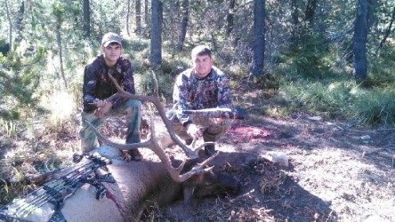 Jerry 2016 Bull.jpg