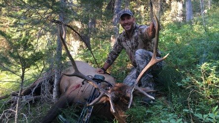 Matt Rissel 2016 Bull.jpg