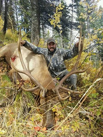 Taylor 2016 Bull 1.jpg