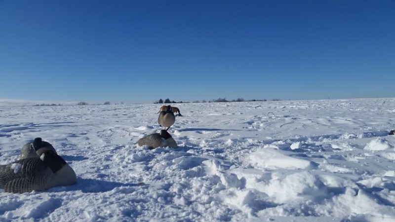 20170106_104747 (Small).jpg