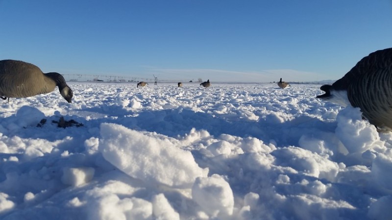 20161230_090738 (Small).jpg