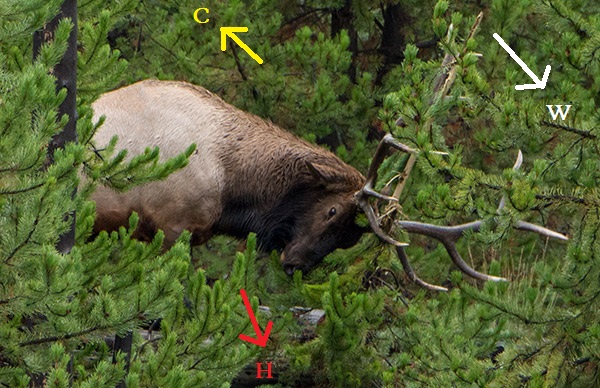 Raking.jpg