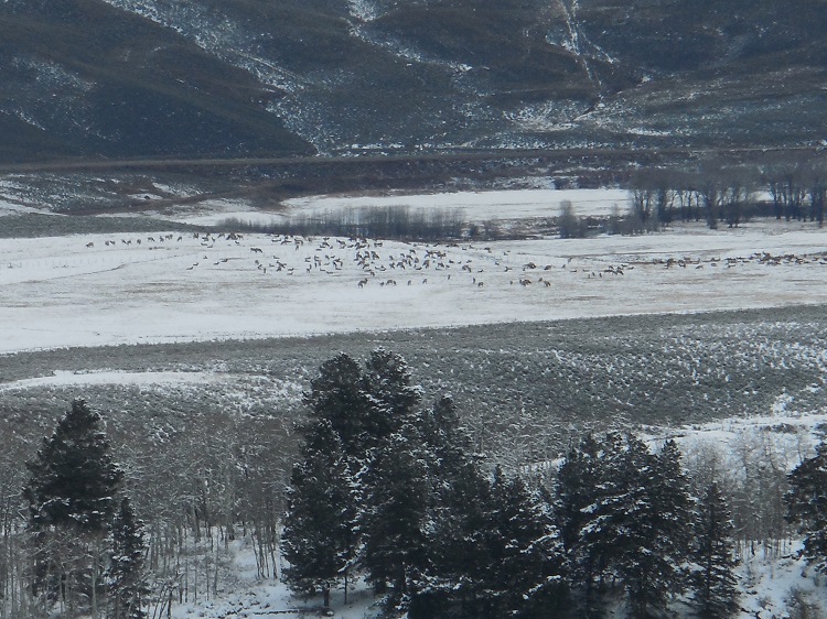 Taken from national forest.jpg