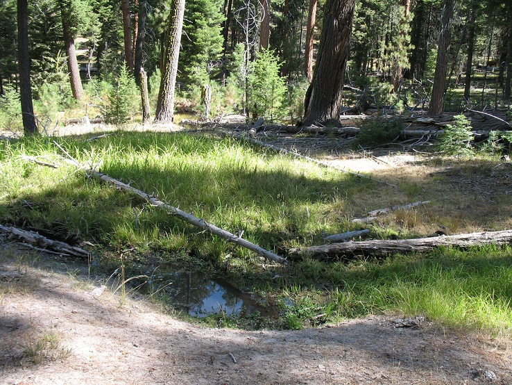 Bow Hunt 2012 001 (34).JPG