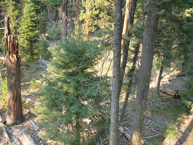 Bow Hunt 2012 001 (26).JPG